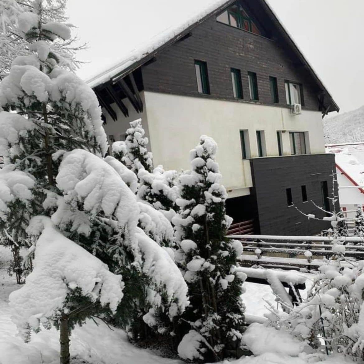 Franzdorf Alpin Hotel Valiug Exterior photo