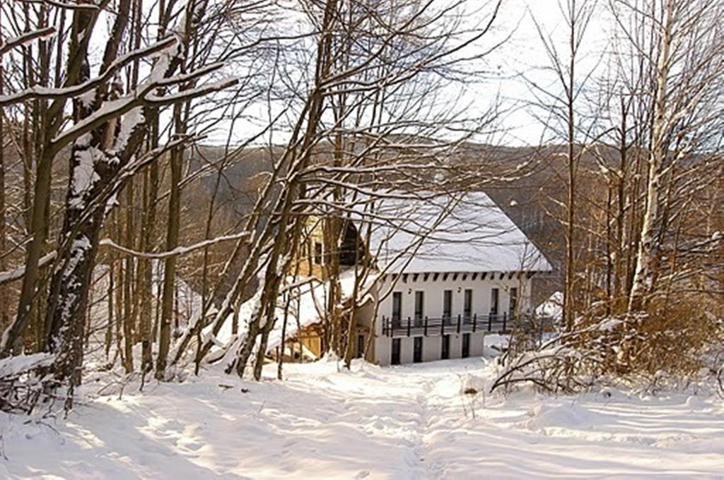 Franzdorf Alpin Hotel Valiug Exterior photo